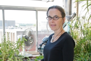 Photograph of Leslie Griffith, Ph.D. Nancy Lurie Marks Professor of Neuroscience at Brandeis University
